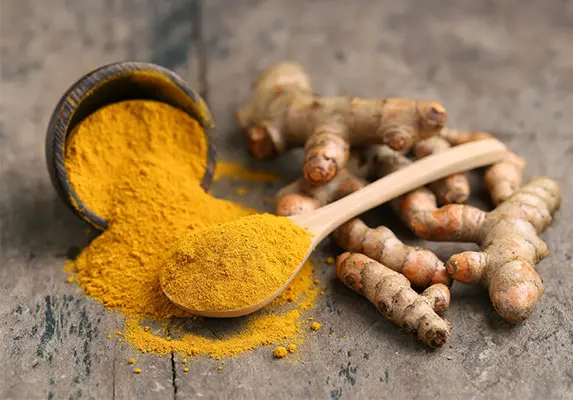 Zerdeçal ekstrakt tozu (Turmeric Extract Powder)