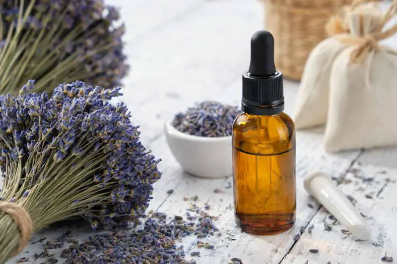 Lavander essential oil